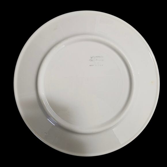 Buffalo China Green Band Restaurant Plate 9-Inch USA Vintage Diner Ware - Picture 3 of 4